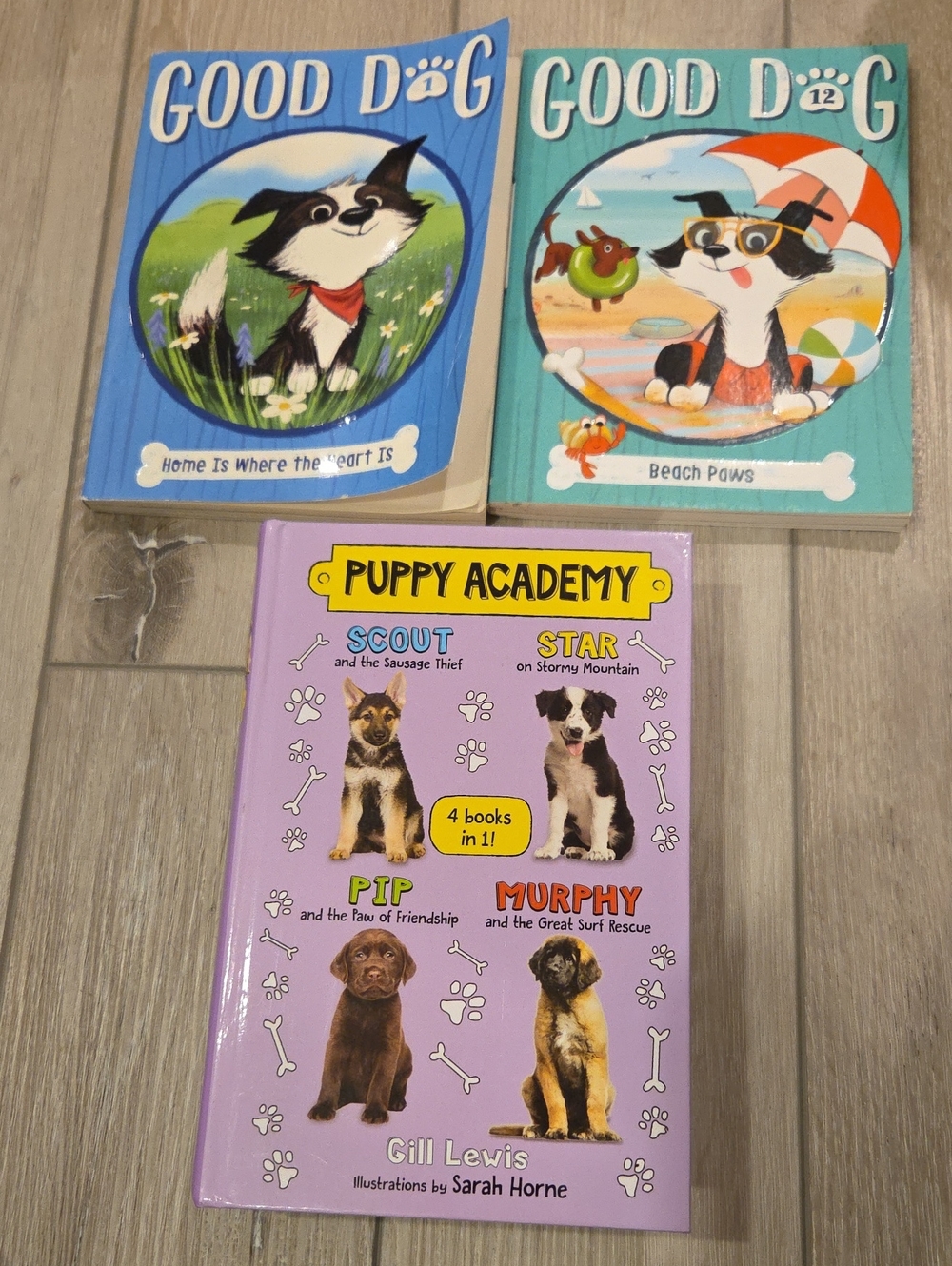 Puppy Academy: 4-in-1 Dog Adventure Book Set Good Dog
